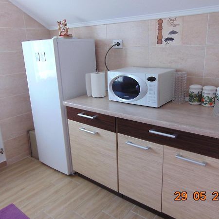 BorşaVila Floarea De Colt公寓 外观 照片
