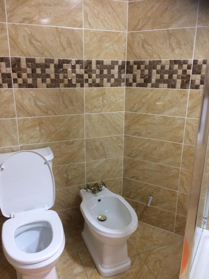 BorşaVila Floarea De Colt公寓 外观 照片