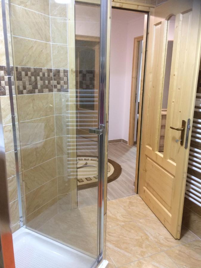 BorşaVila Floarea De Colt公寓 外观 照片