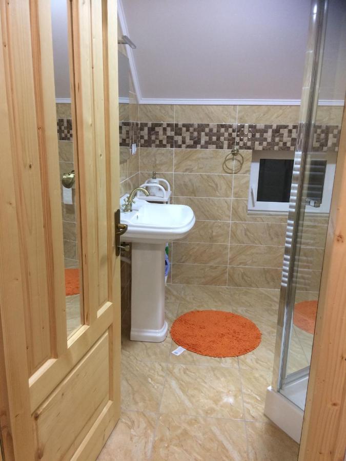 BorşaVila Floarea De Colt公寓 外观 照片