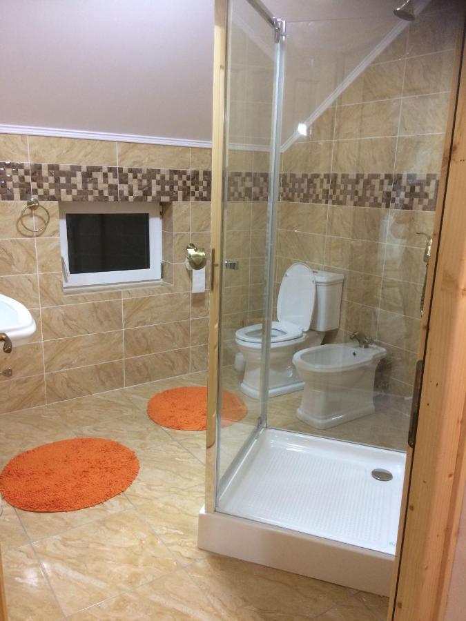 BorşaVila Floarea De Colt公寓 外观 照片