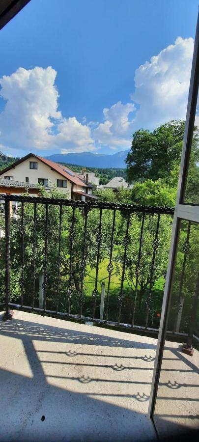 BorşaVila Floarea De Colt公寓 外观 照片