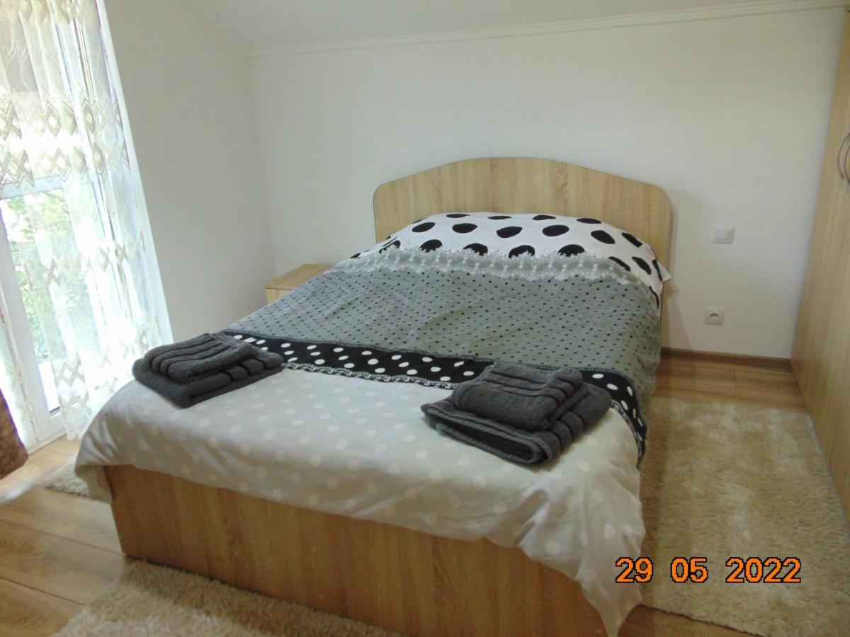 BorşaVila Floarea De Colt公寓 外观 照片