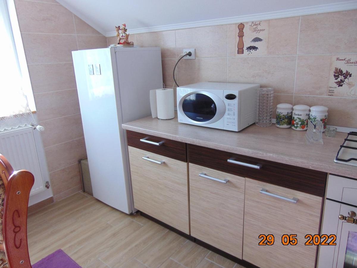 BorşaVila Floarea De Colt公寓 外观 照片