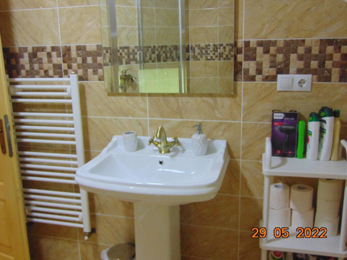BorşaVila Floarea De Colt公寓 外观 照片