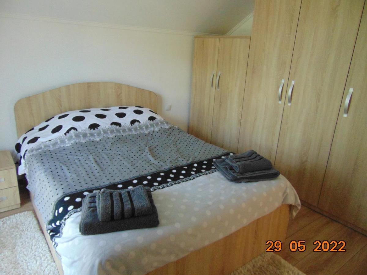 BorşaVila Floarea De Colt公寓 外观 照片